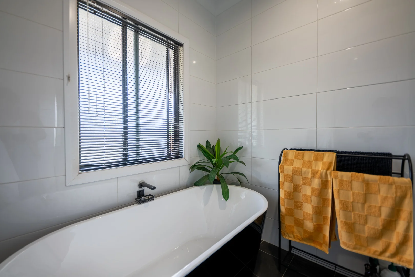 Additional image 21 of 29-31 Show Street, Forbes NSW 2871