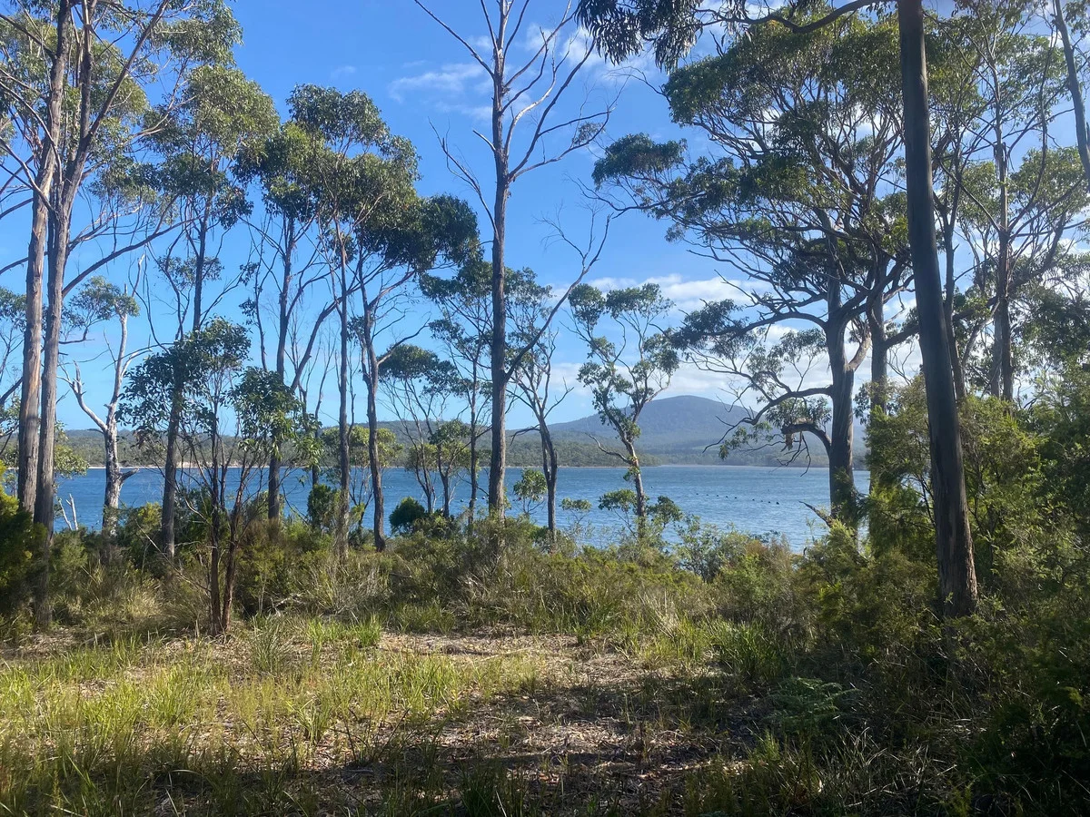 Additional image 6 of 1 Hastings Bay Esplanade, Hastings TAS 7109