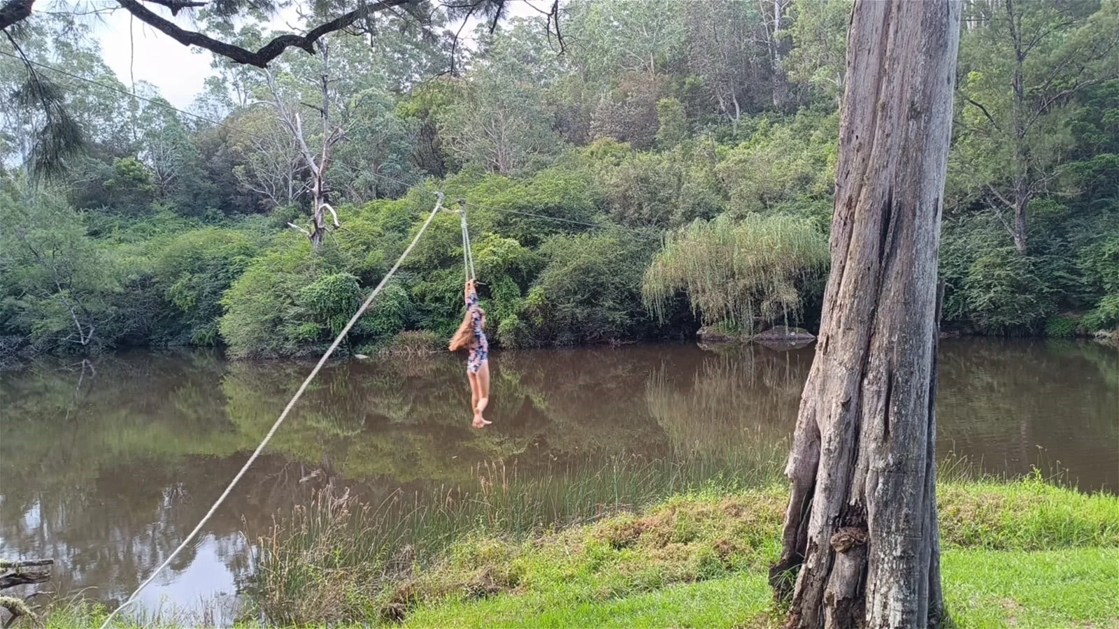 Additional image 31 of Dorrigo NSW 2453