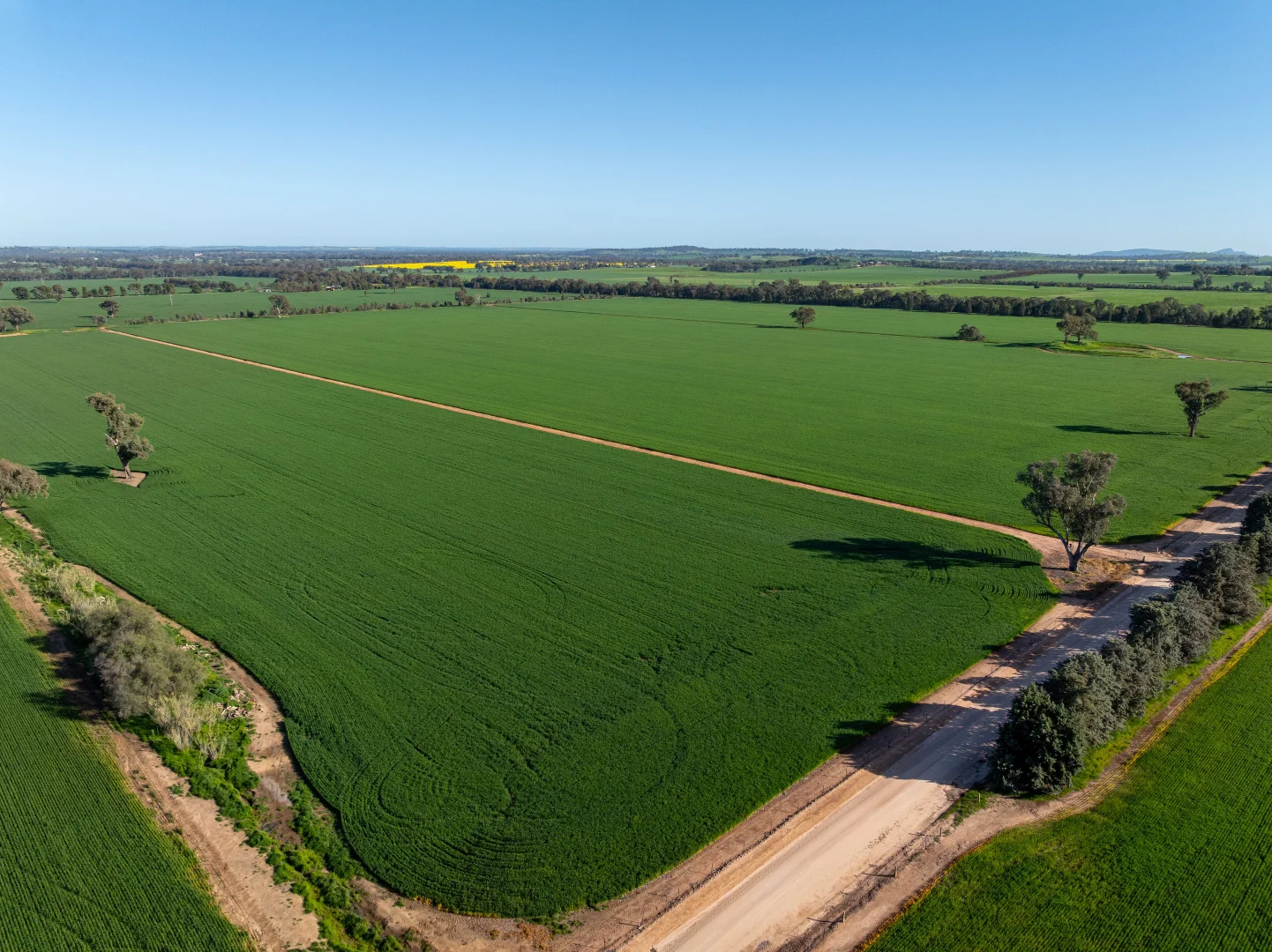 Additional image 21 of 484 Merri Meric Road, Henty NSW 2658