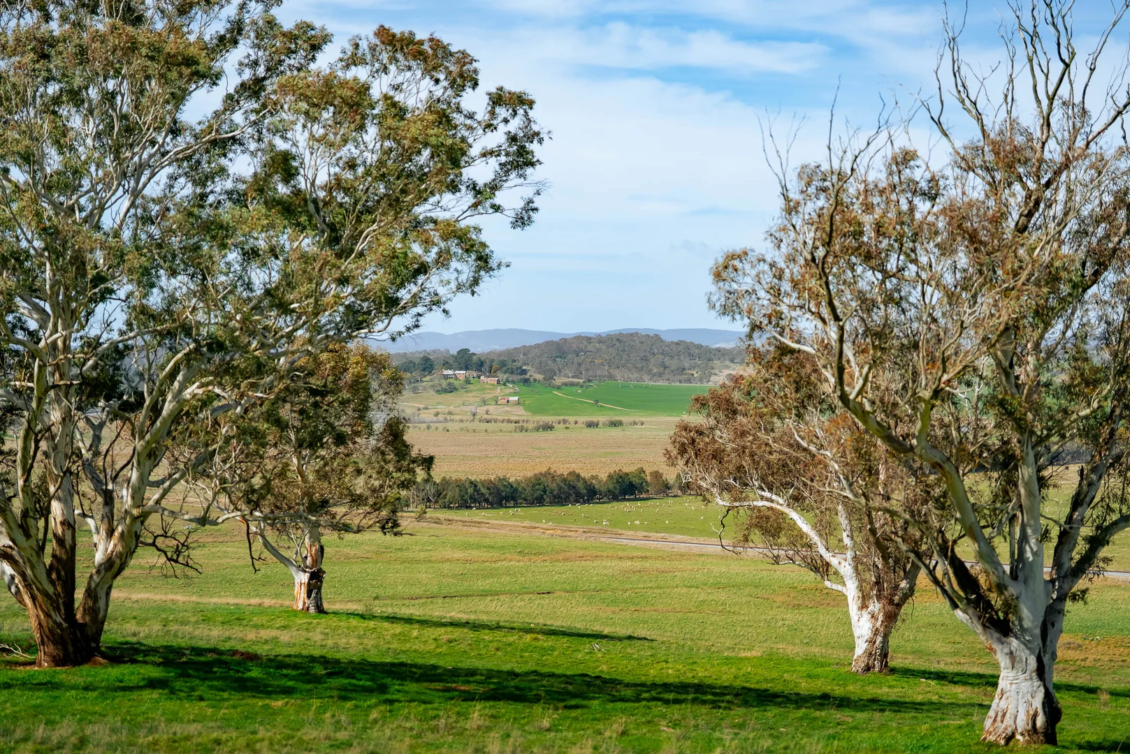 Additional image 20 of 276 Currawang Road, Goulburn NSW 2580