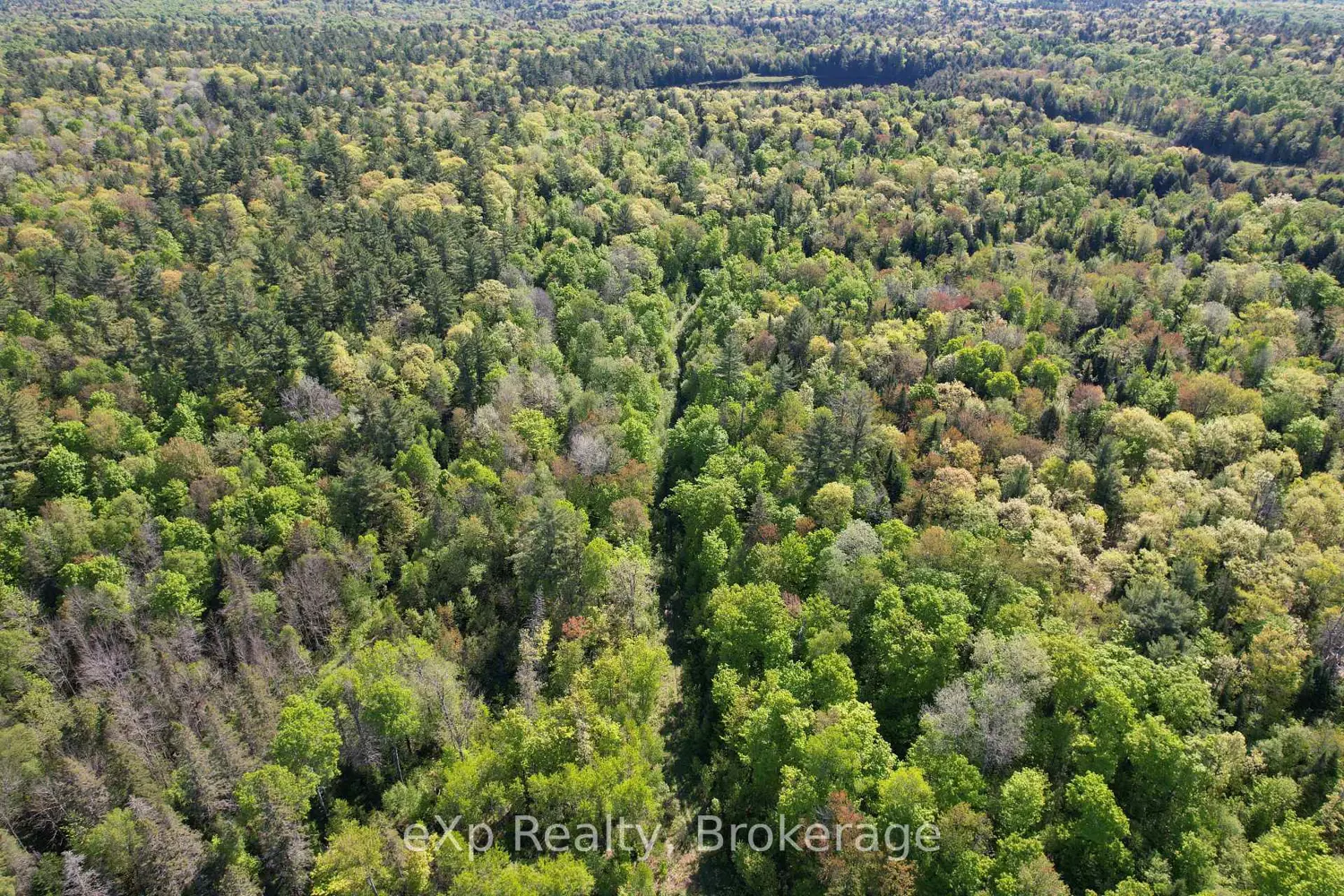 Additional image 2 of Lot 20 Centre Road