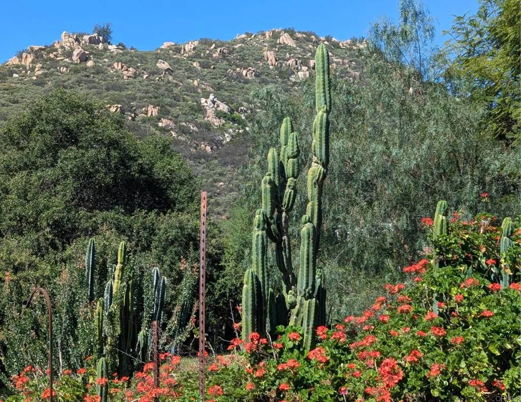 Additional image 37 of 3333 Suncrest Boulevard, El Cajon, CA 92021