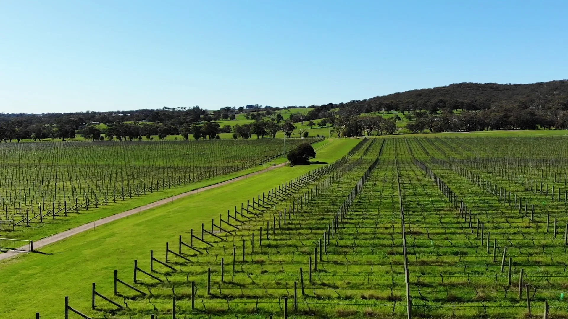 Additional image 6 of Harrisons Road, Dromana VIC 3936