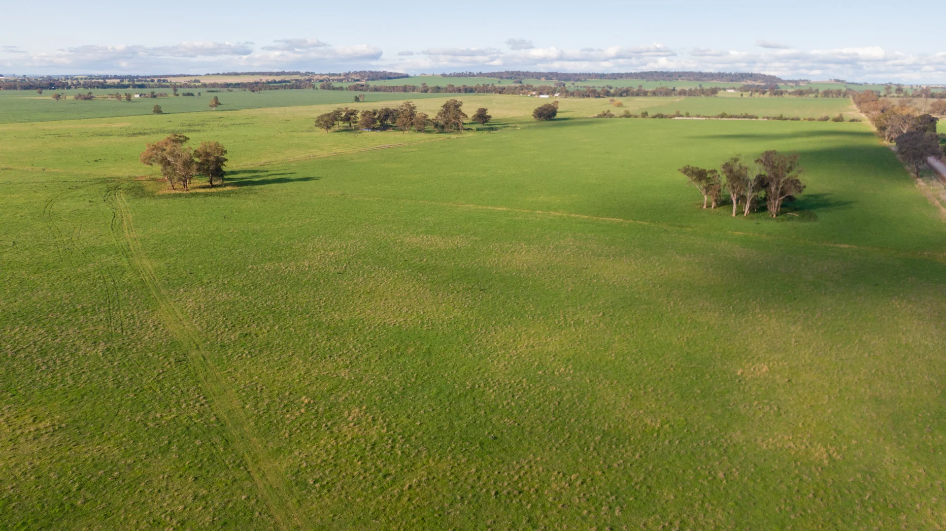 Additional image 12 of Kincora & Poachers Millwood Road, Coolamon NSW 2701
