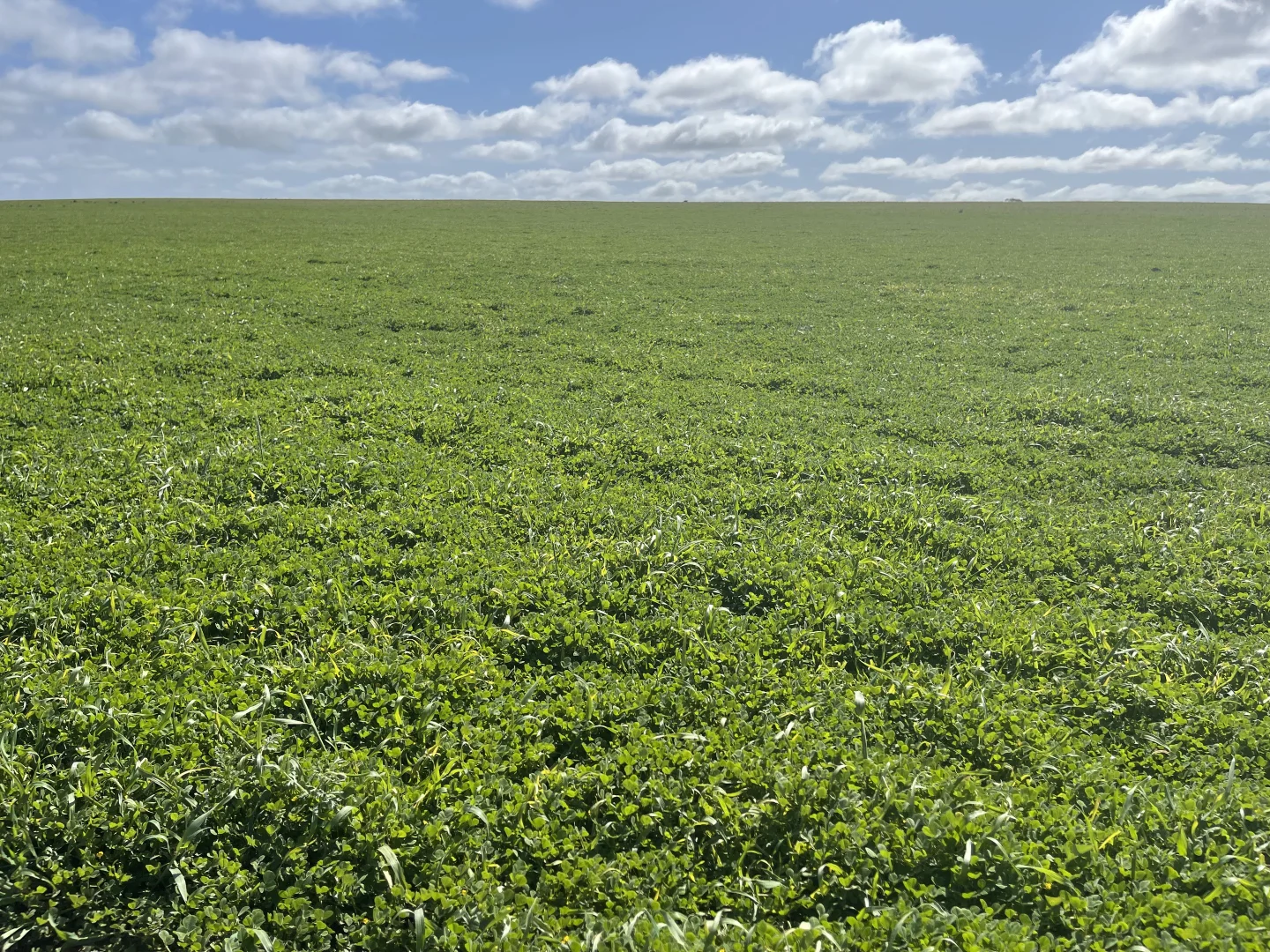 Additional image 6 of Lot 2 Palabie Road, Wudinna SA 5652