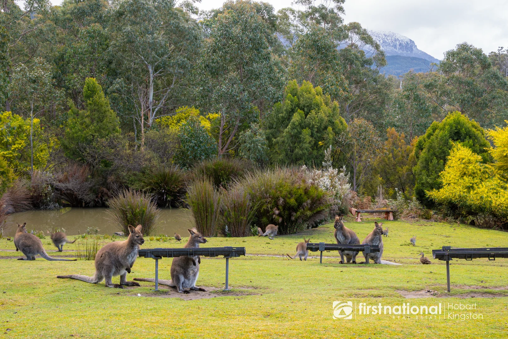 Additional image 33 of 60 Old Summerleas Road, Kingston TAS 7050