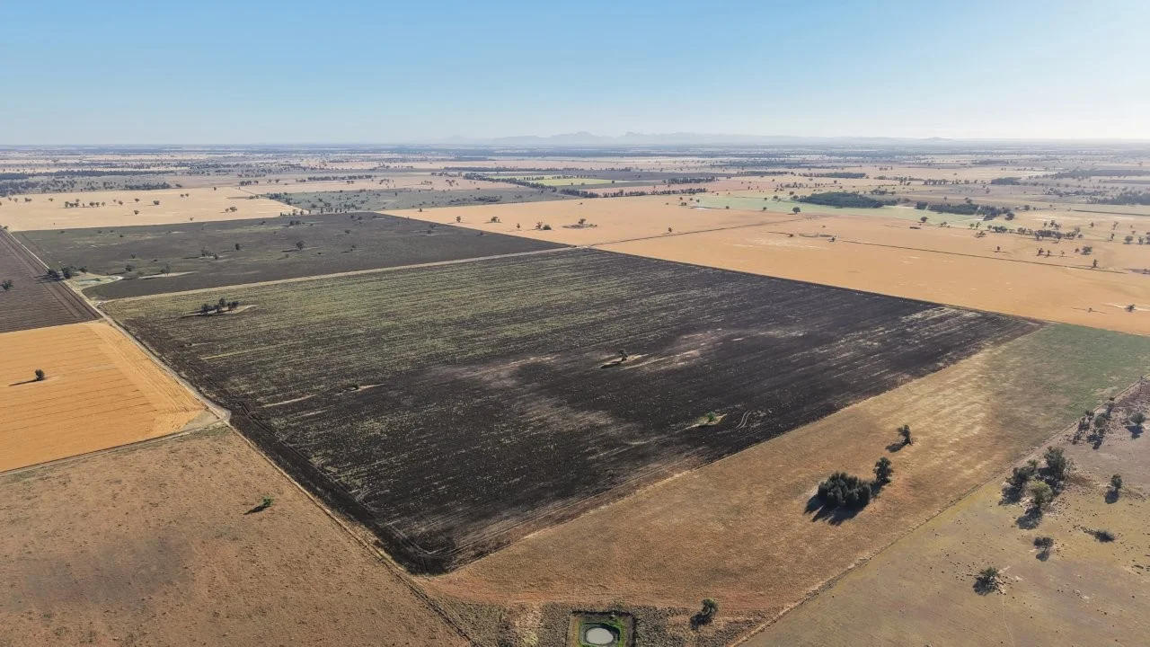 Additional image 8 of 128 Berida-Bullagreen Road, Collie NSW 2827