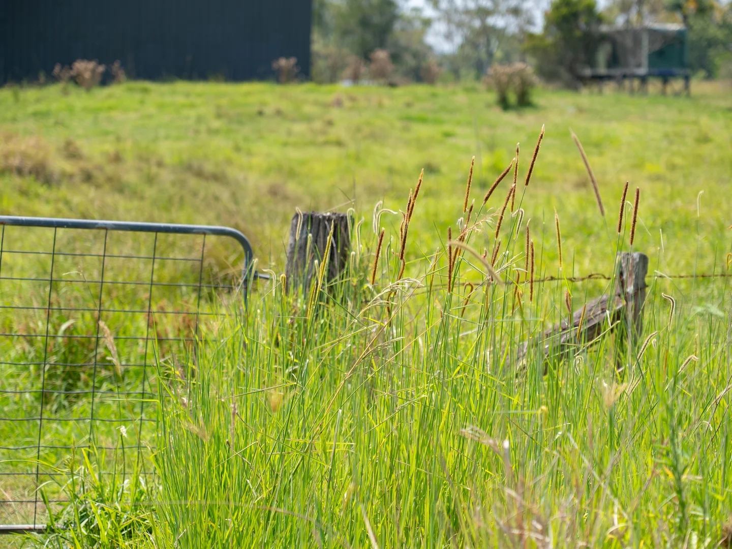 Additional image 6 of 279 Gundurimba Road, Monaltrie NSW 2480