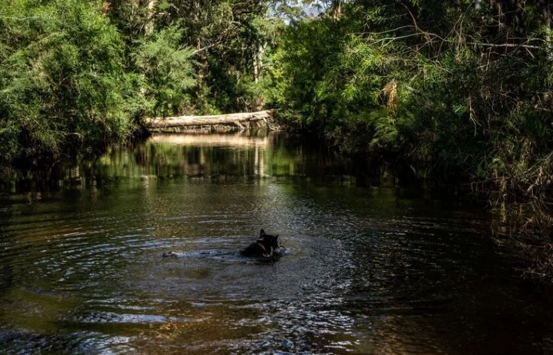 Additional image 31 of 224 Wallaroo Range Road, Willsons Downfall NSW 2372