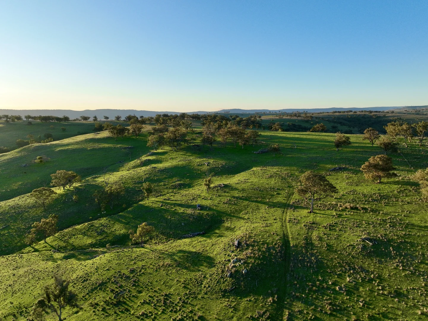 Additional image 11 of "Jemalong" 263 Collier Road, Coolah NSW 2843