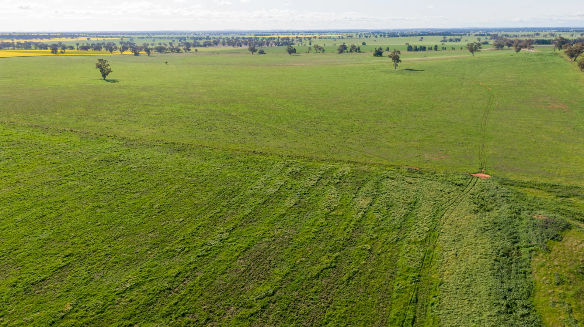 Additional image 5 of Kincora & Poachers Millwood Road, Coolamon NSW 2701