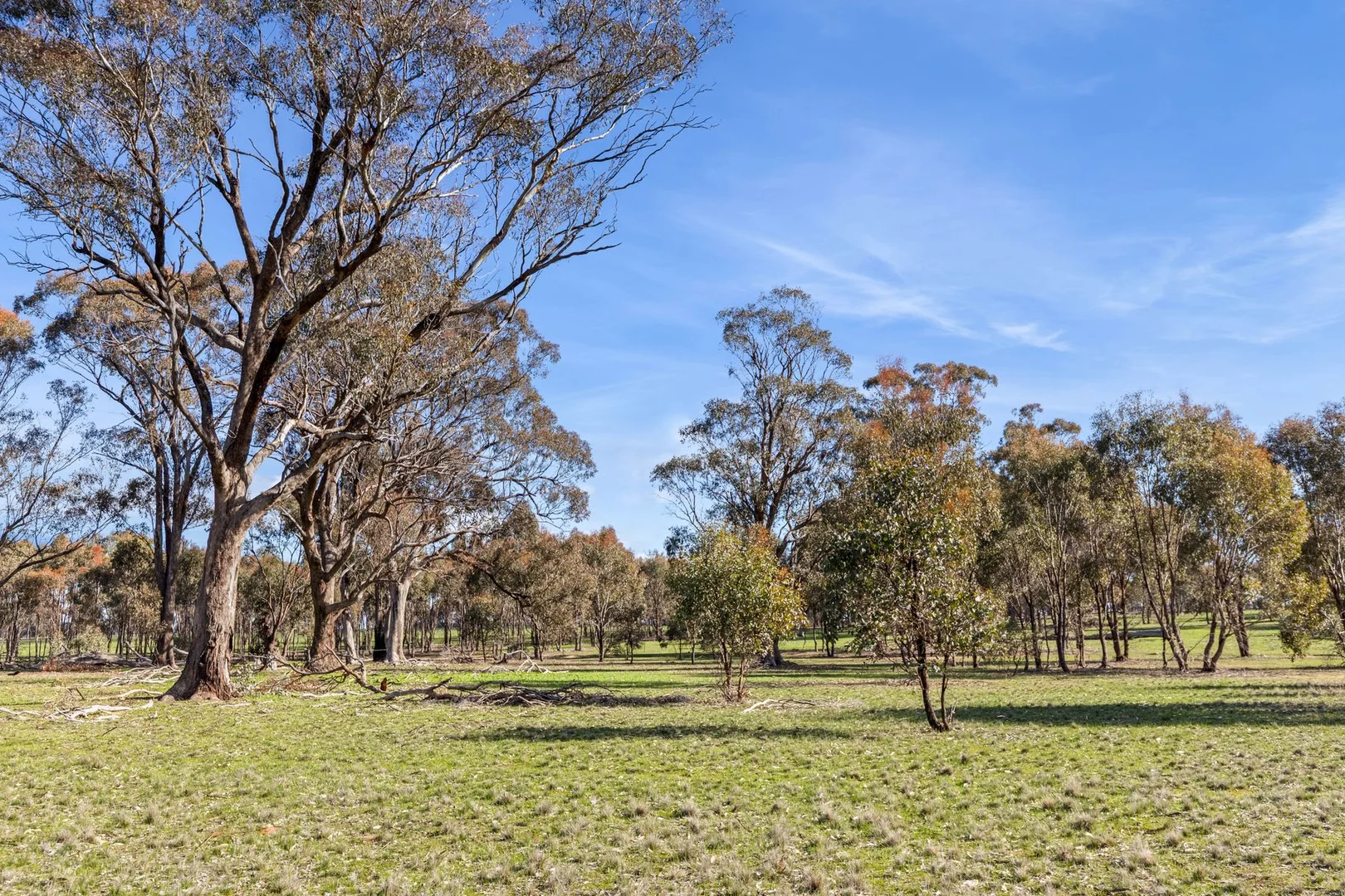 Additional image 5 of Lot 2B Bradford Road, Shelbourne VIC 3515