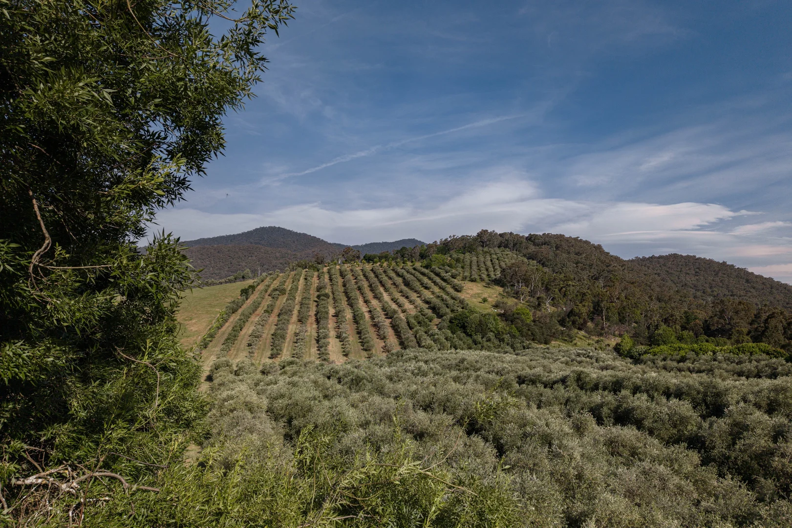 Additional image 33 of 528 Redbank Mongans Road, Mongans Bridge VIC 3691