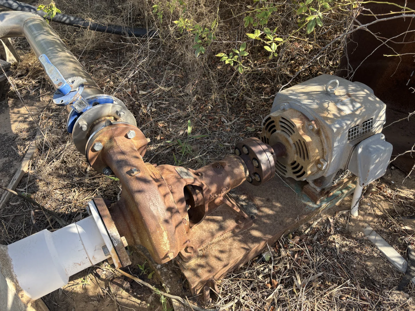 Additional image 4 of 43 Creek Road, Curlwaa NSW 2648