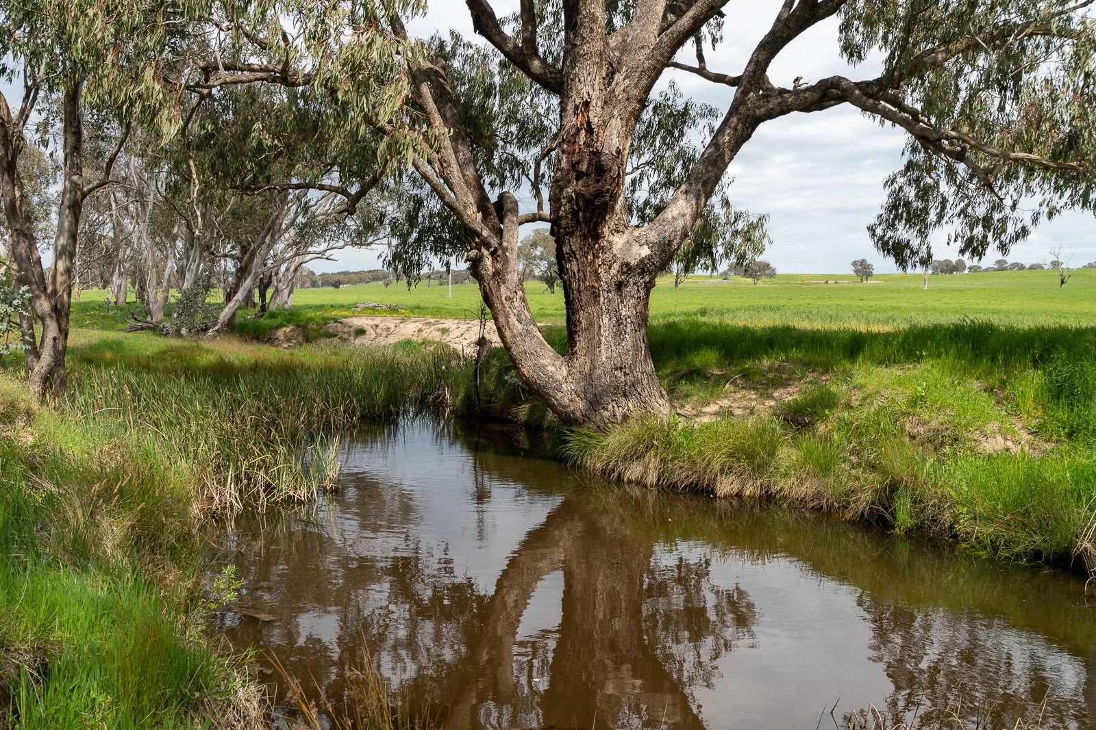Additional image 16 of 1050 Garland Road, Garland NSW 2797