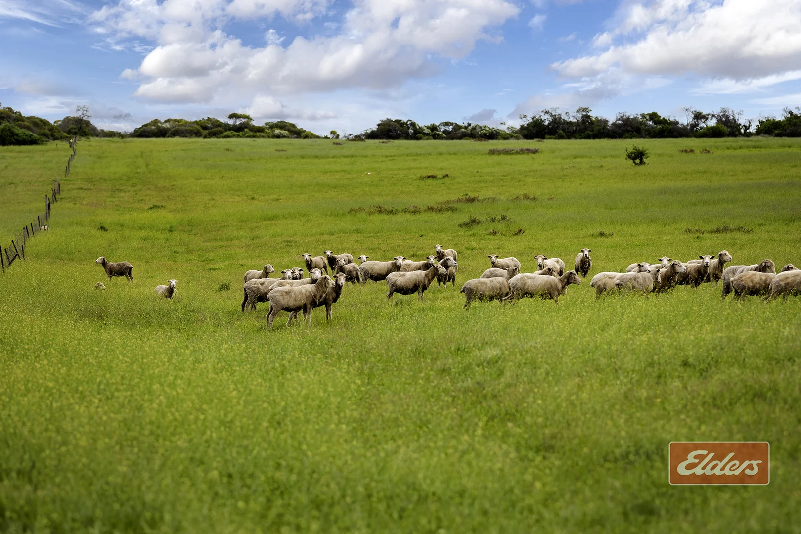 Additional image 13 of Lot 12 Hollingsworth Place, South Greenough WA 6528