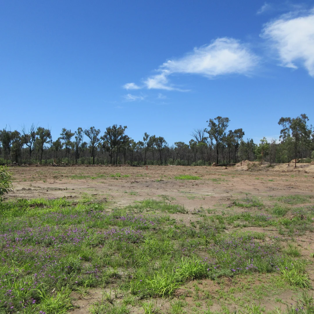 Additional image 2 of #48 Kookaburra Drive, Tara QLD 4421