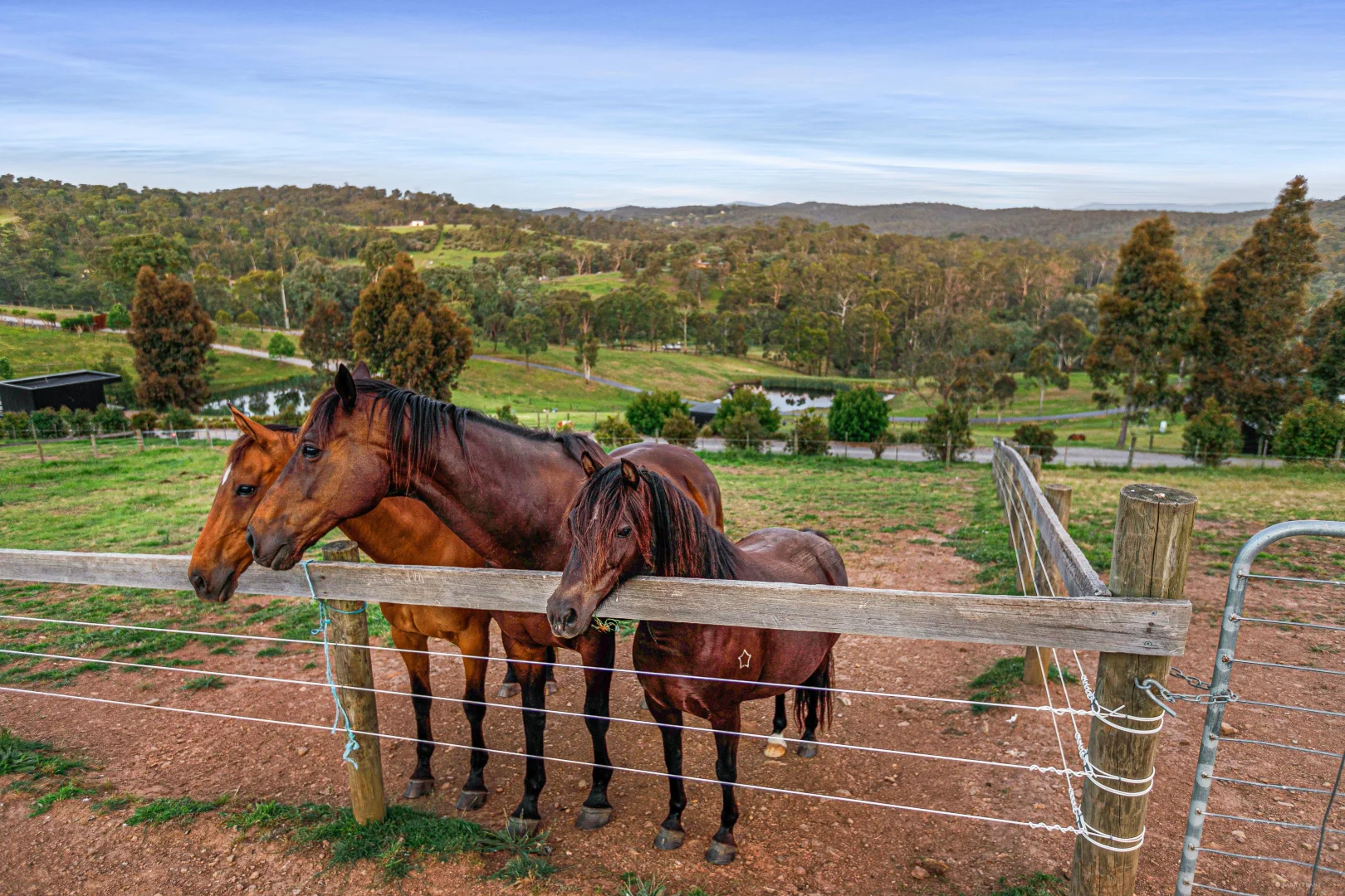 Additional image 23 of 60 Bourchiers Road, Kangaroo Ground VIC 3097