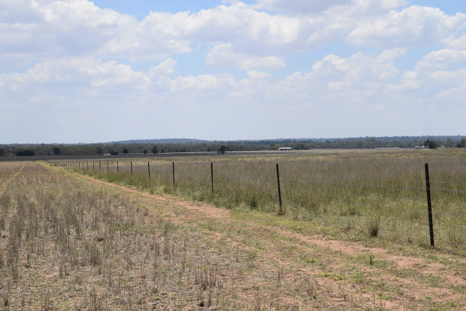 Additional image 29 of 'Illapa' 238L Narromine Road, Dubbo NSW 2830