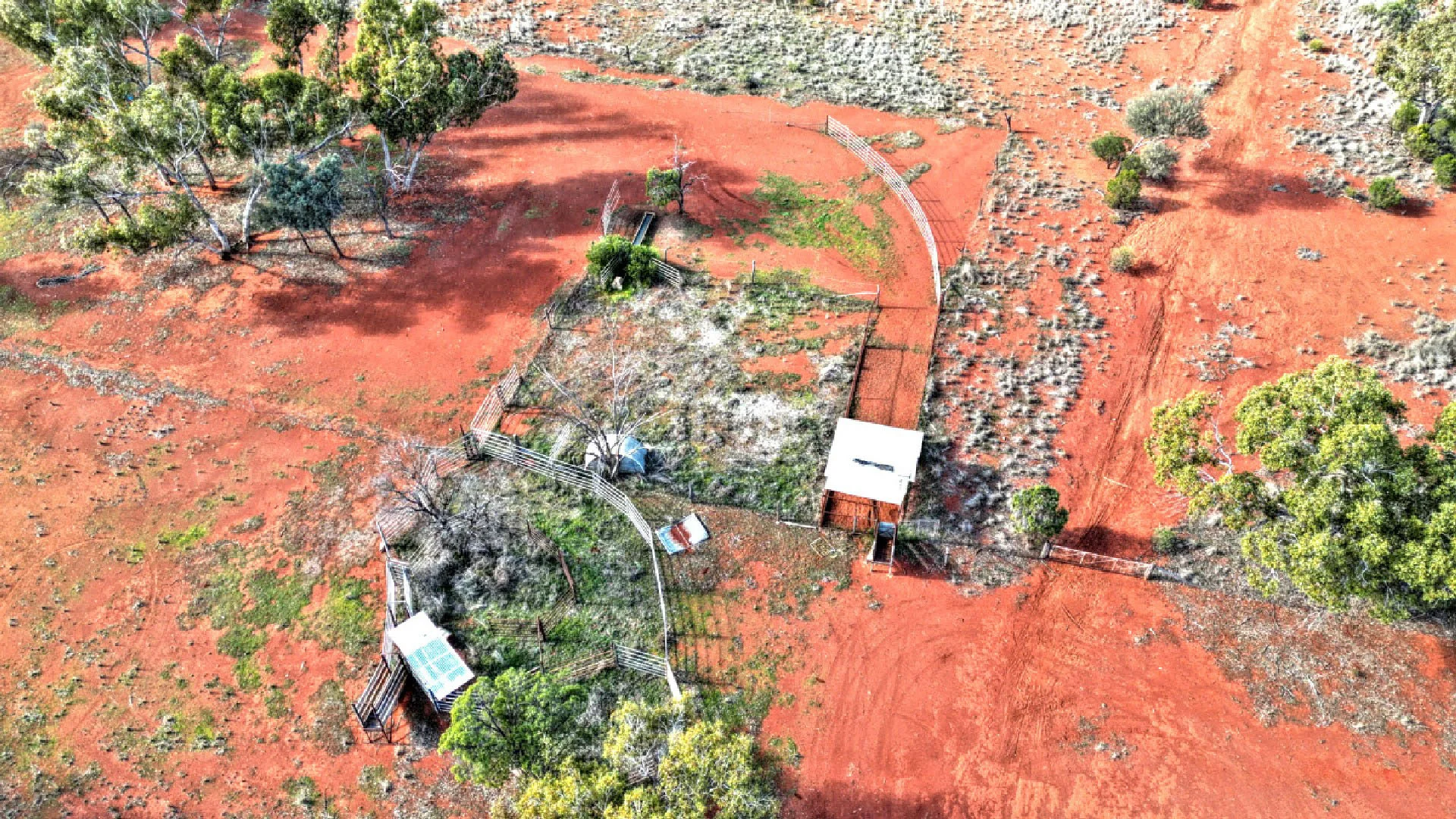 Additional image 4 of "Nardoo" Station 872 Davidson Road, Gunderbooka NSW 2840