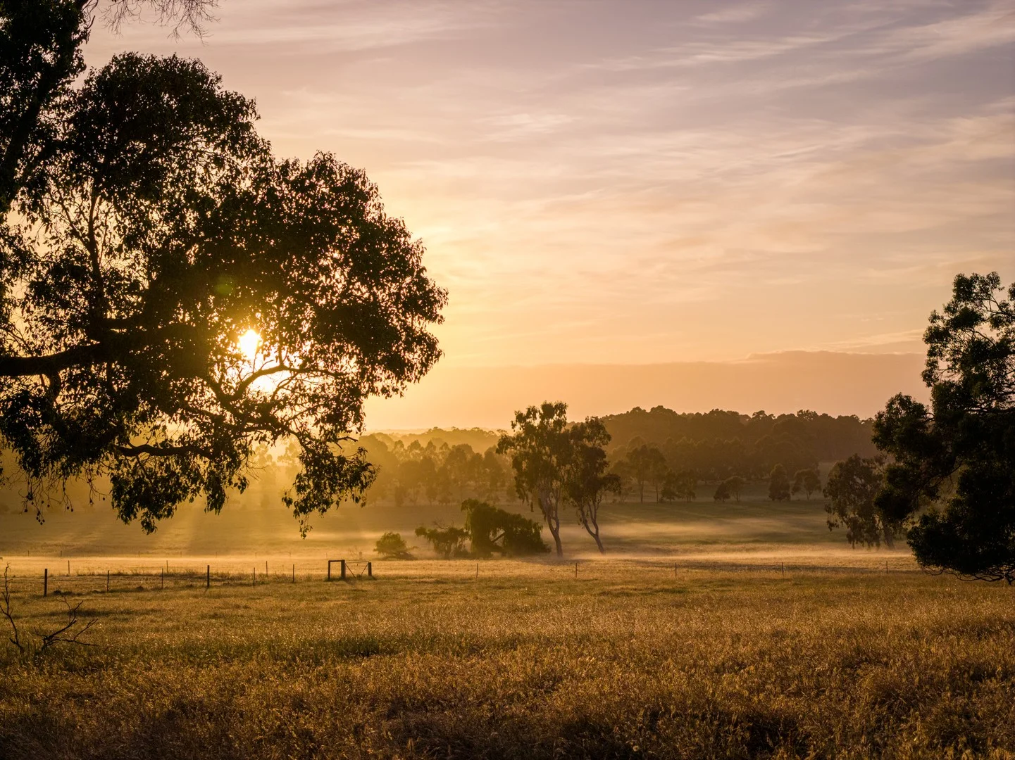 Additional image 5 of 89 Worgan Road, Metricup WA 6280