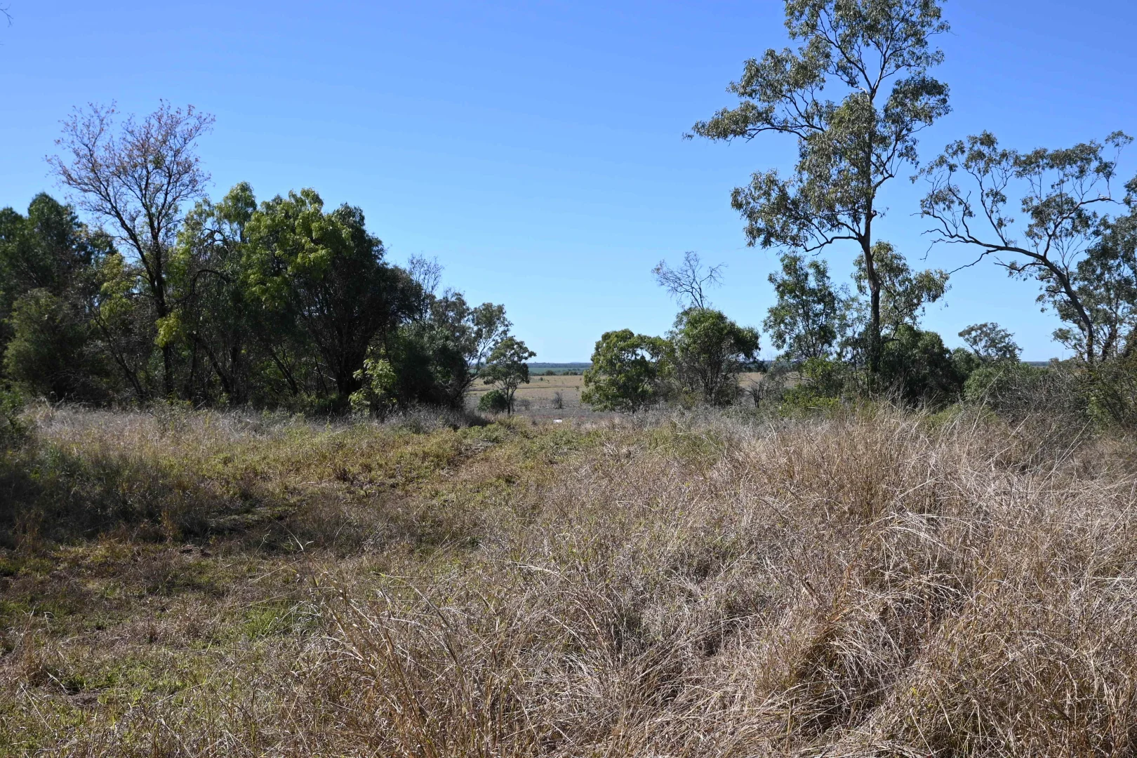 Additional image 24 of 102 Lowestoff Road, Capella QLD 4723