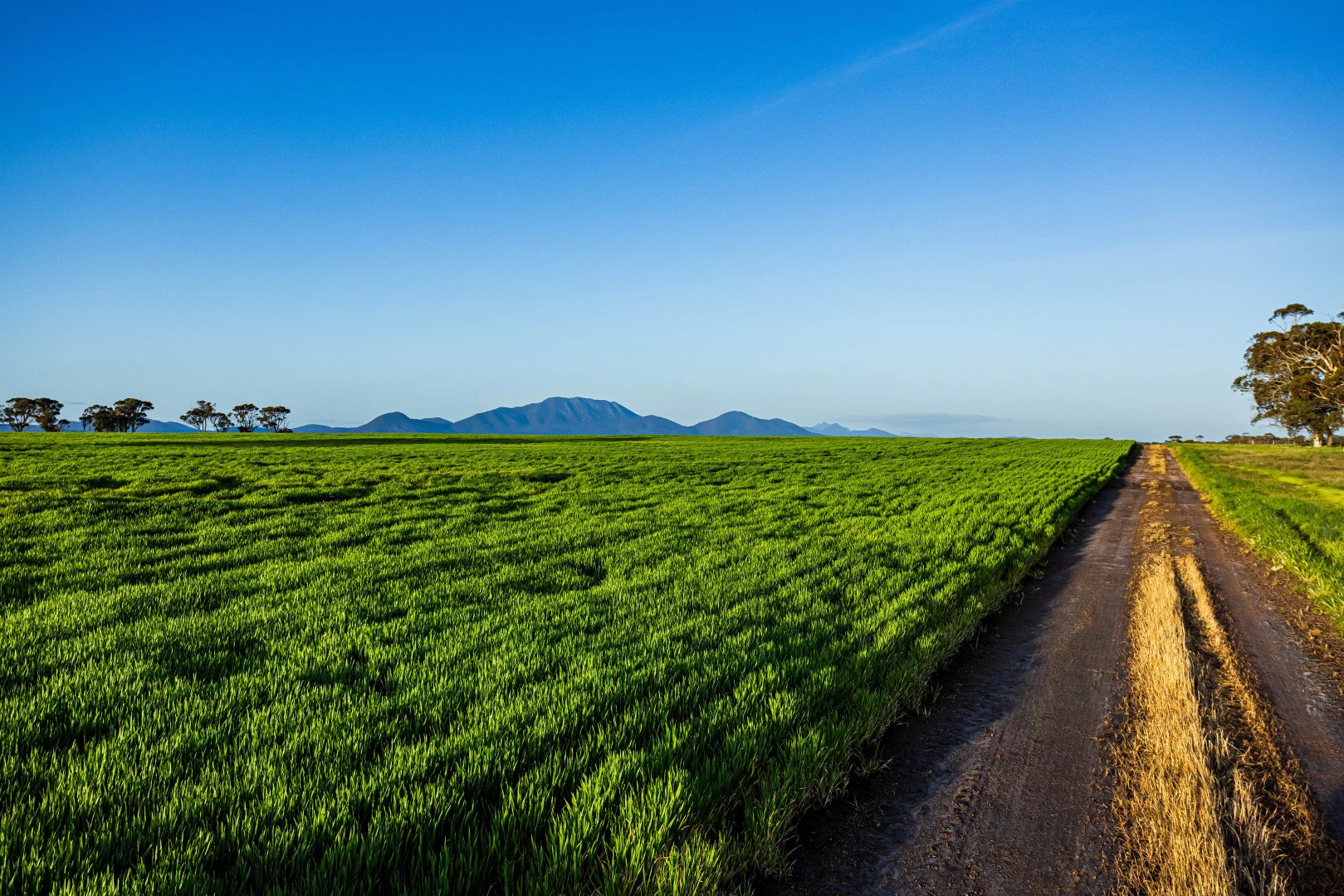 Additional image 2 of 340 View Range Road, Kendenup WA 6323