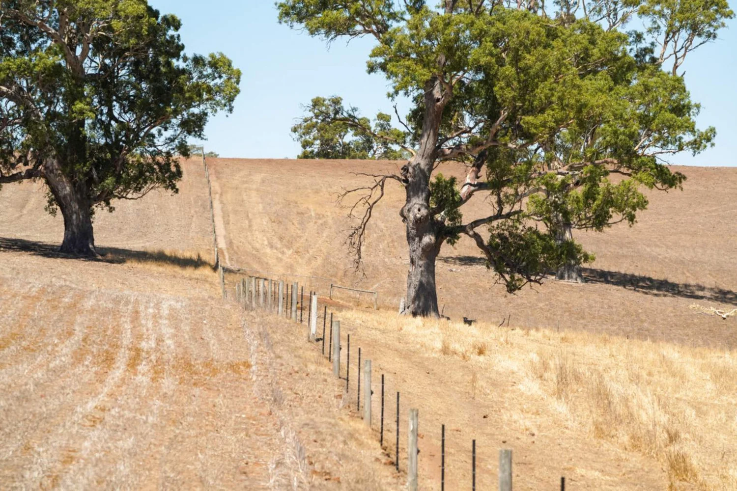 Additional image 26 of 3593 Nareen Road, Culla VIC 3315