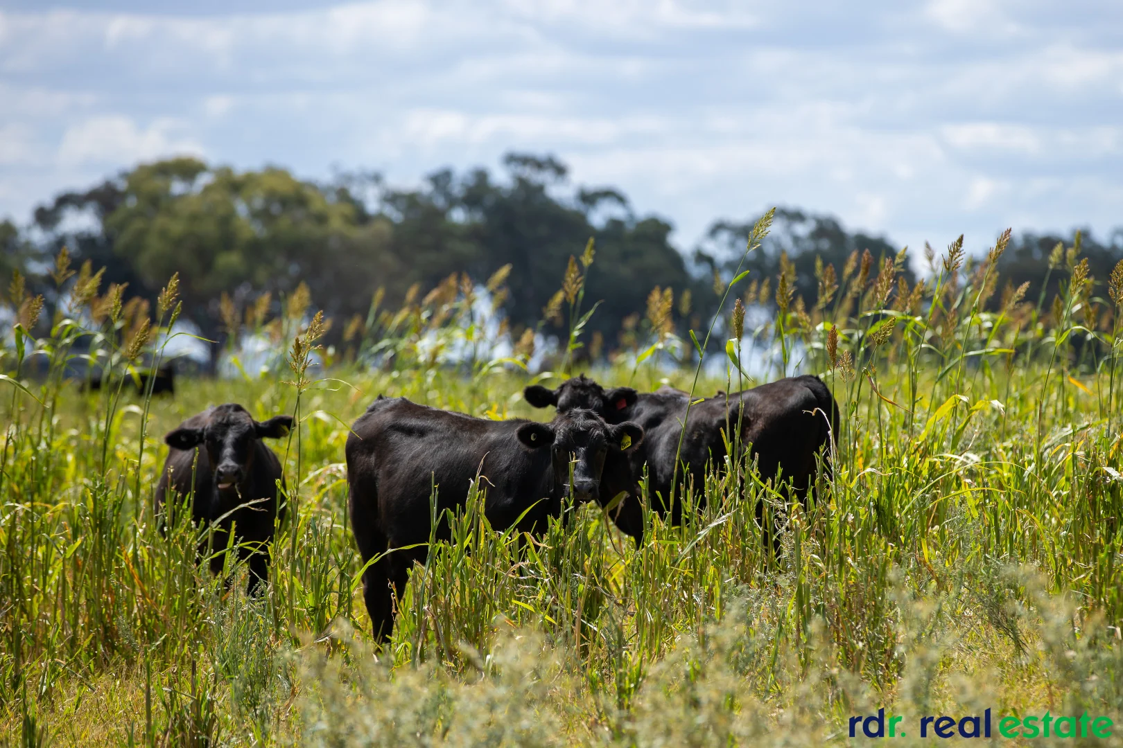 Additional image 15 of 394 Yetman Road, Inverell NSW 2360