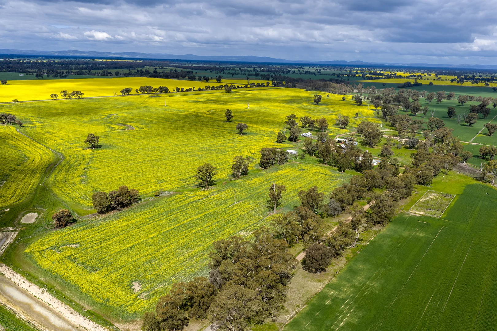 Additional image 6 of 250 Karramomus Road, Arcadia VIC 3631