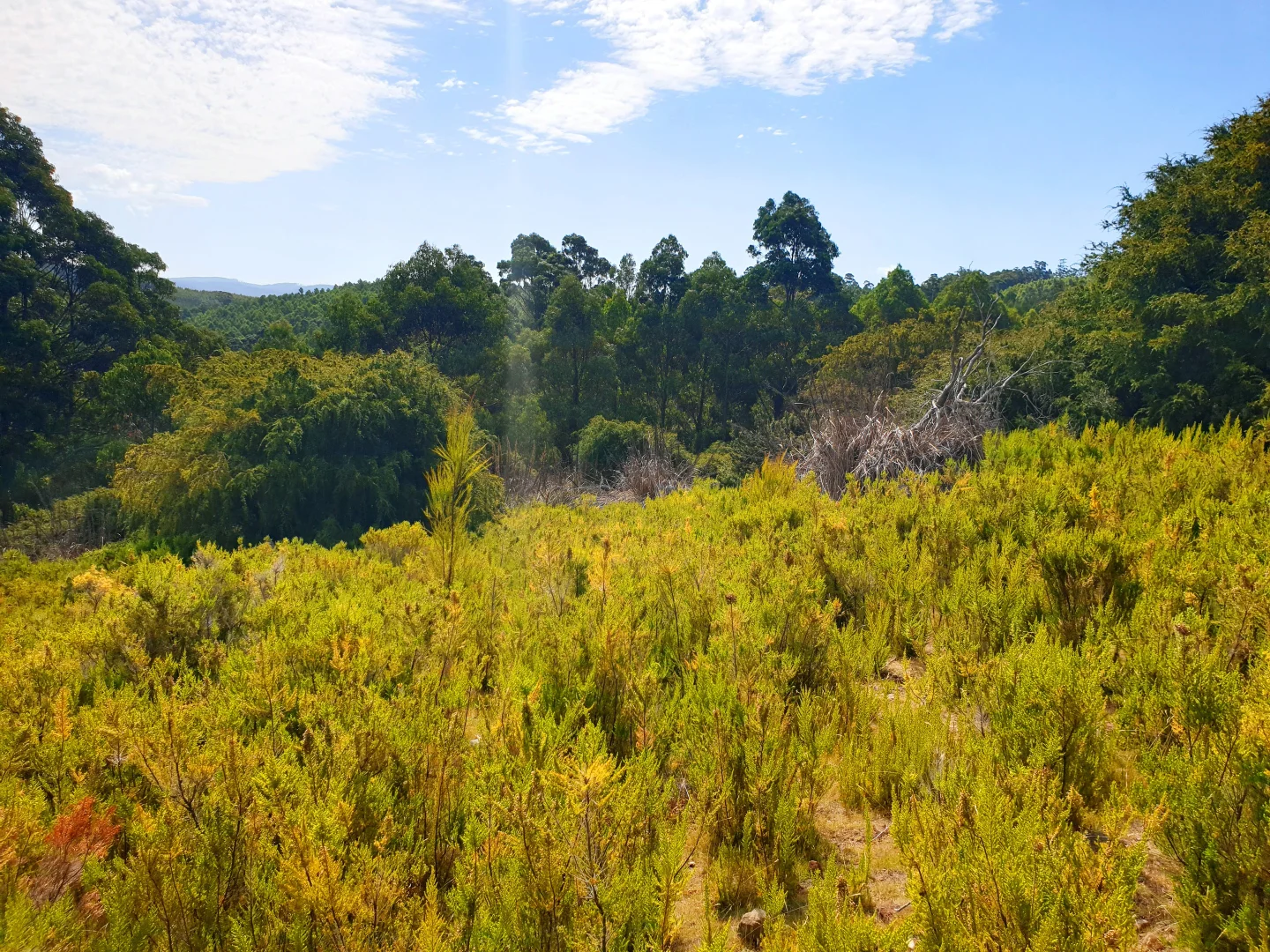 Additional image 7 of Lot 37 Bells Road, Cygnet TAS 7112