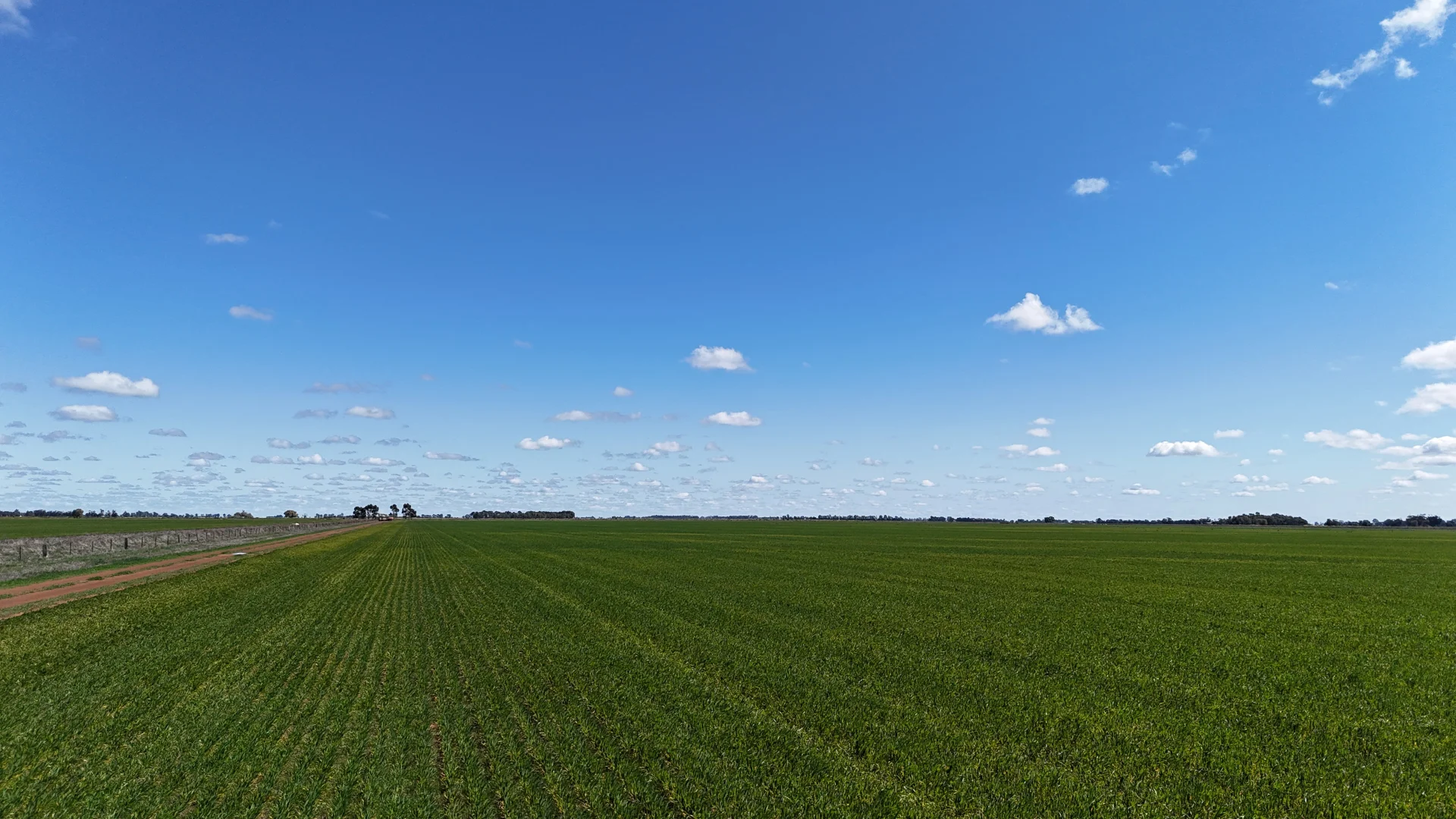 Additional image 9 of 69-70 Leonard Road, Coleambally NSW 2707