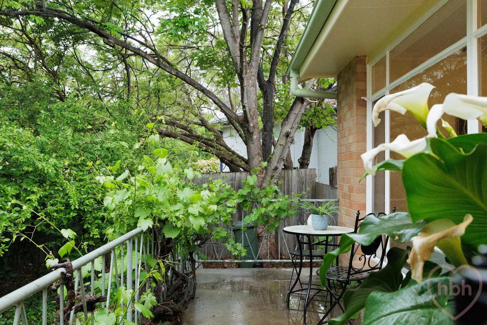 Additional image 5 of 43 Throssell Street, Curtin ACT 2605