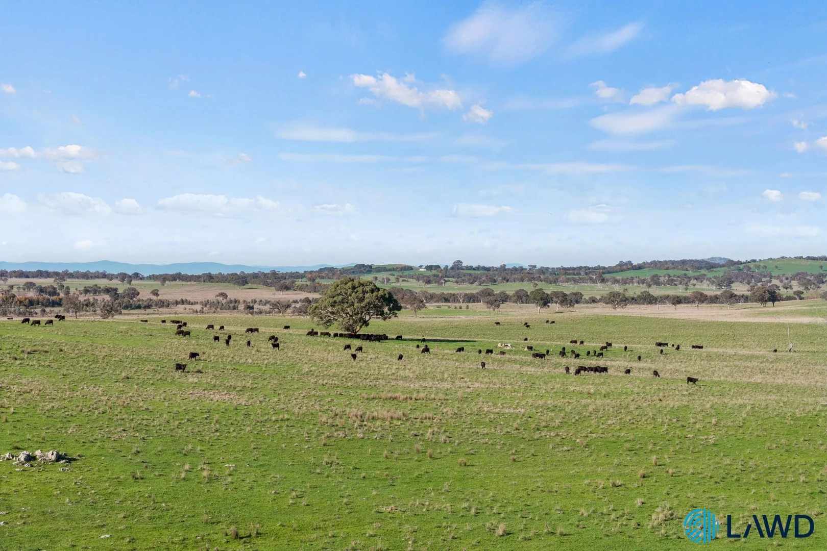 1830 Wargeila Road, Yass NSW 2582