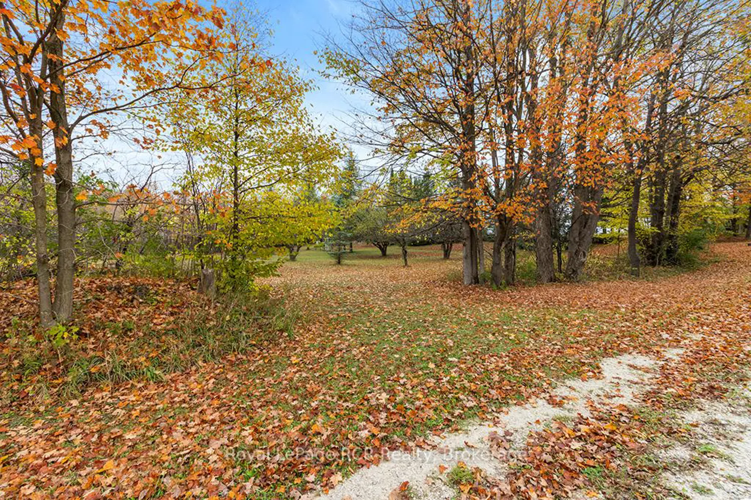 Additional image 6 of 447233 10Th Concession