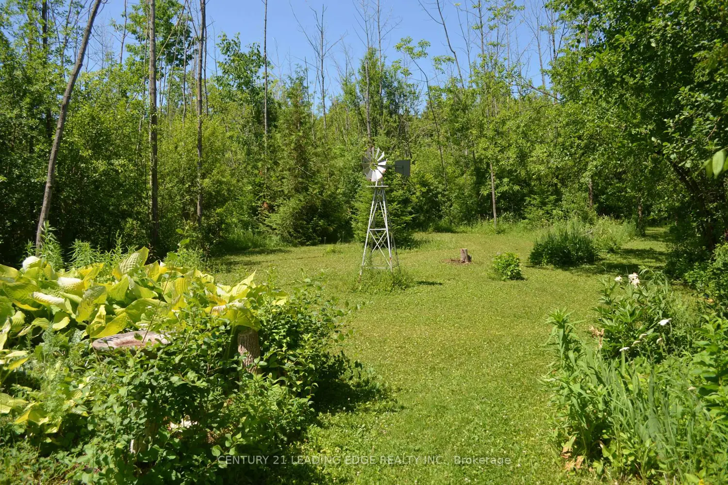 Additional image 5 of 259 George Drive