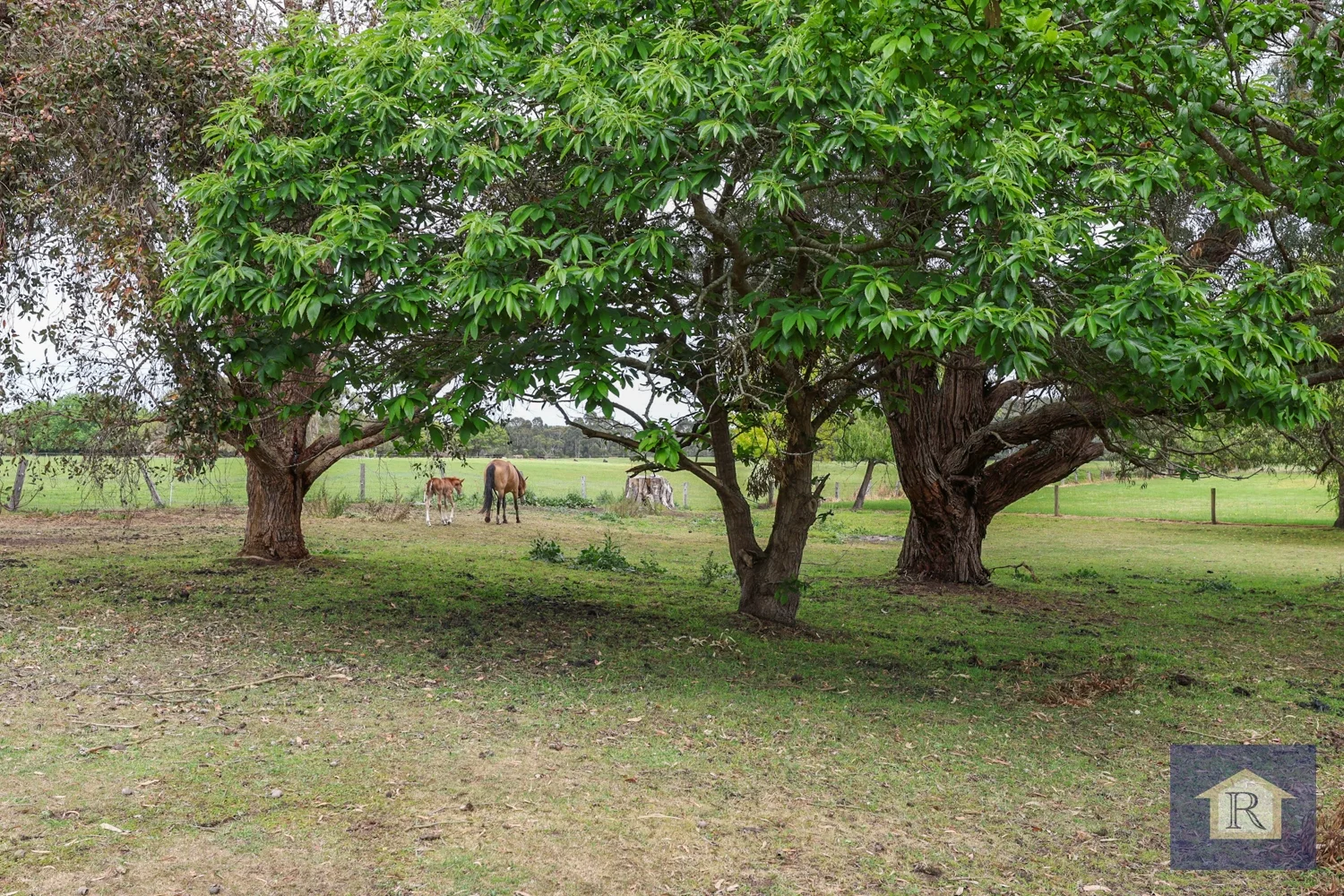 Additional image 3 of 1425 Princes Highway, Pirron Yallock VIC 3249