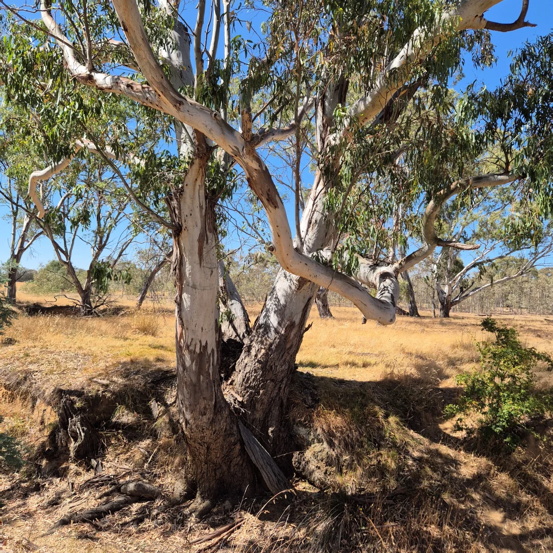 Additional image 2 of 192 Moyreisk Redbank Road, Redbank VIC 3477