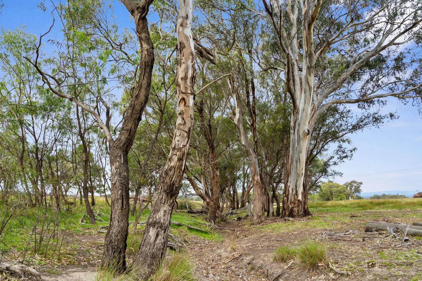 Additional image 27 of 77 Taaffe Road, Wangaratta South VIC 3678