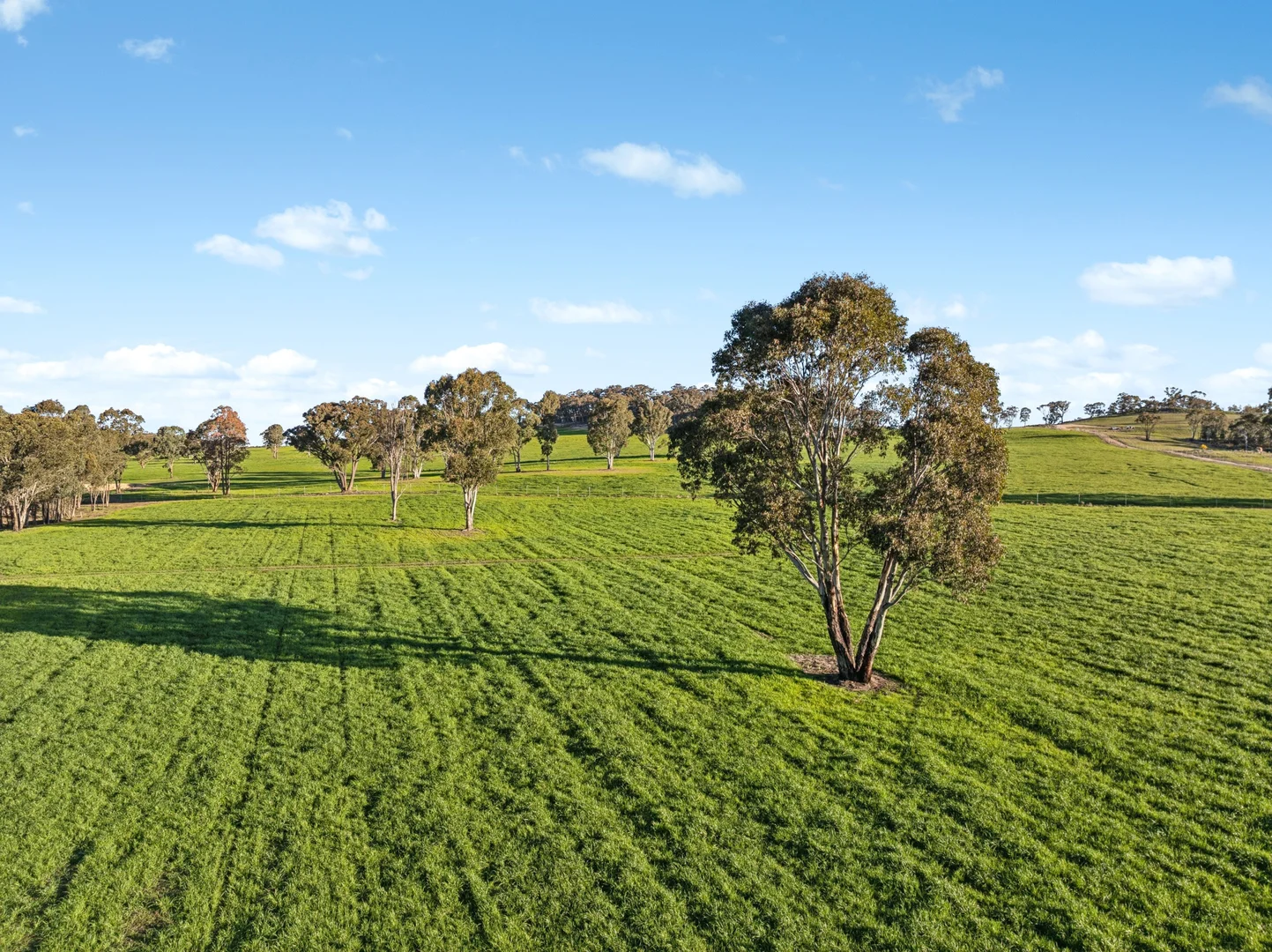 Additional image 12 of 358 Belgravia Road, Orange NSW 2800