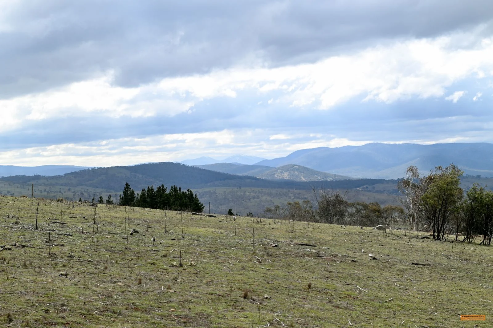 Additional image 4 of "Eagle Heights" 636 Caddigat Road, Dry Plain NSW 2630