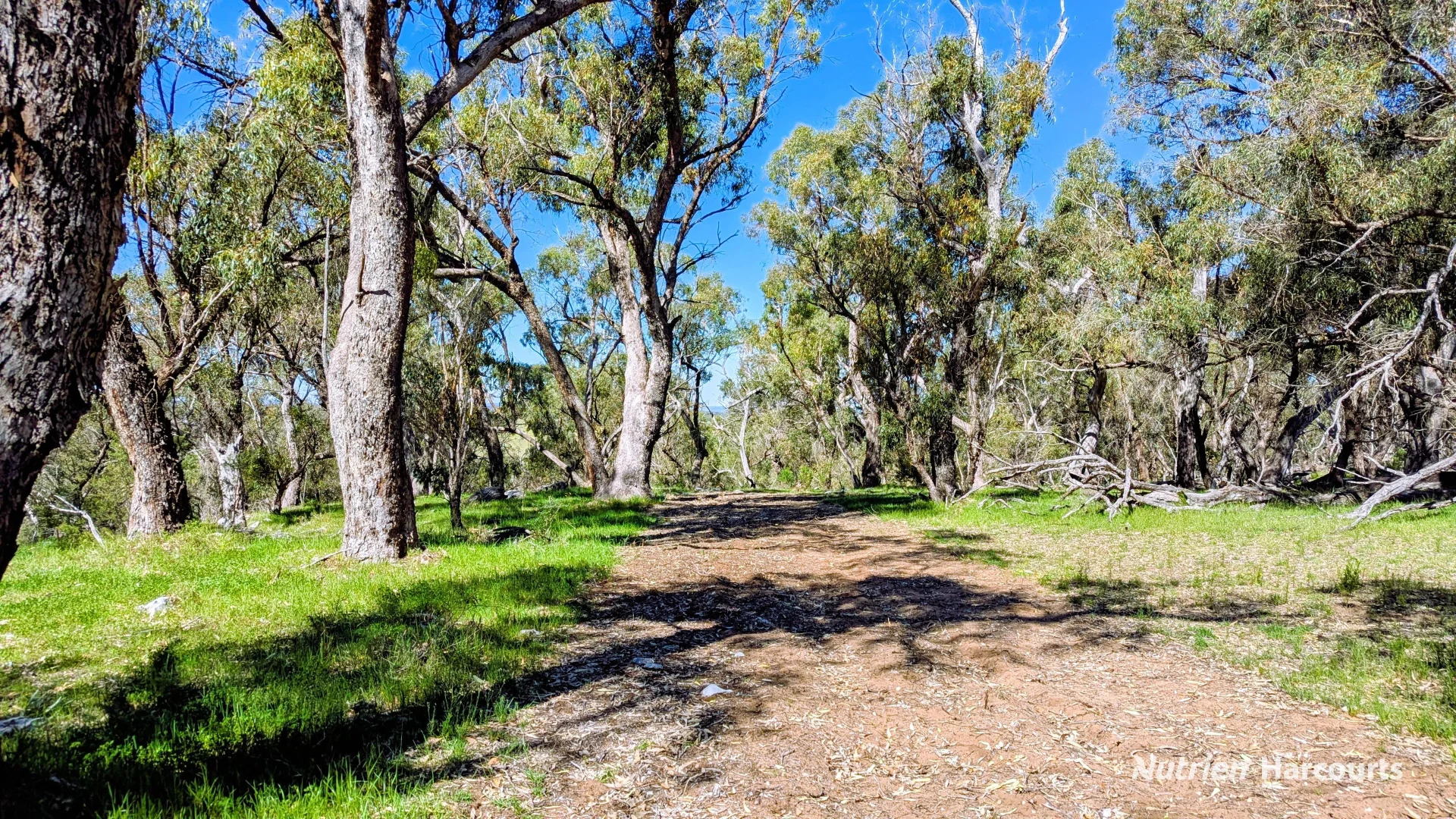 Additional image 17 of Lot 51 Millbank Road, Cowalla WA 6503