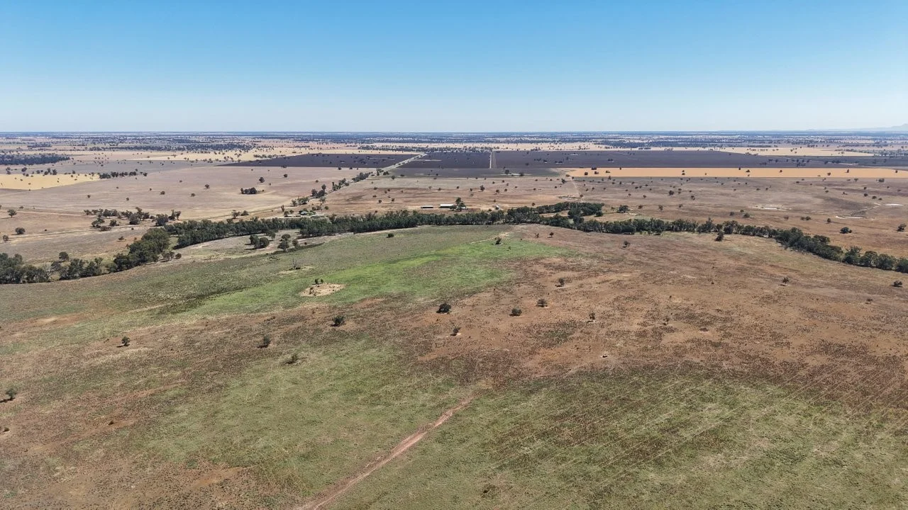 Additional image 20 of 128 Berida-Bullagreen Road, Collie NSW 2827