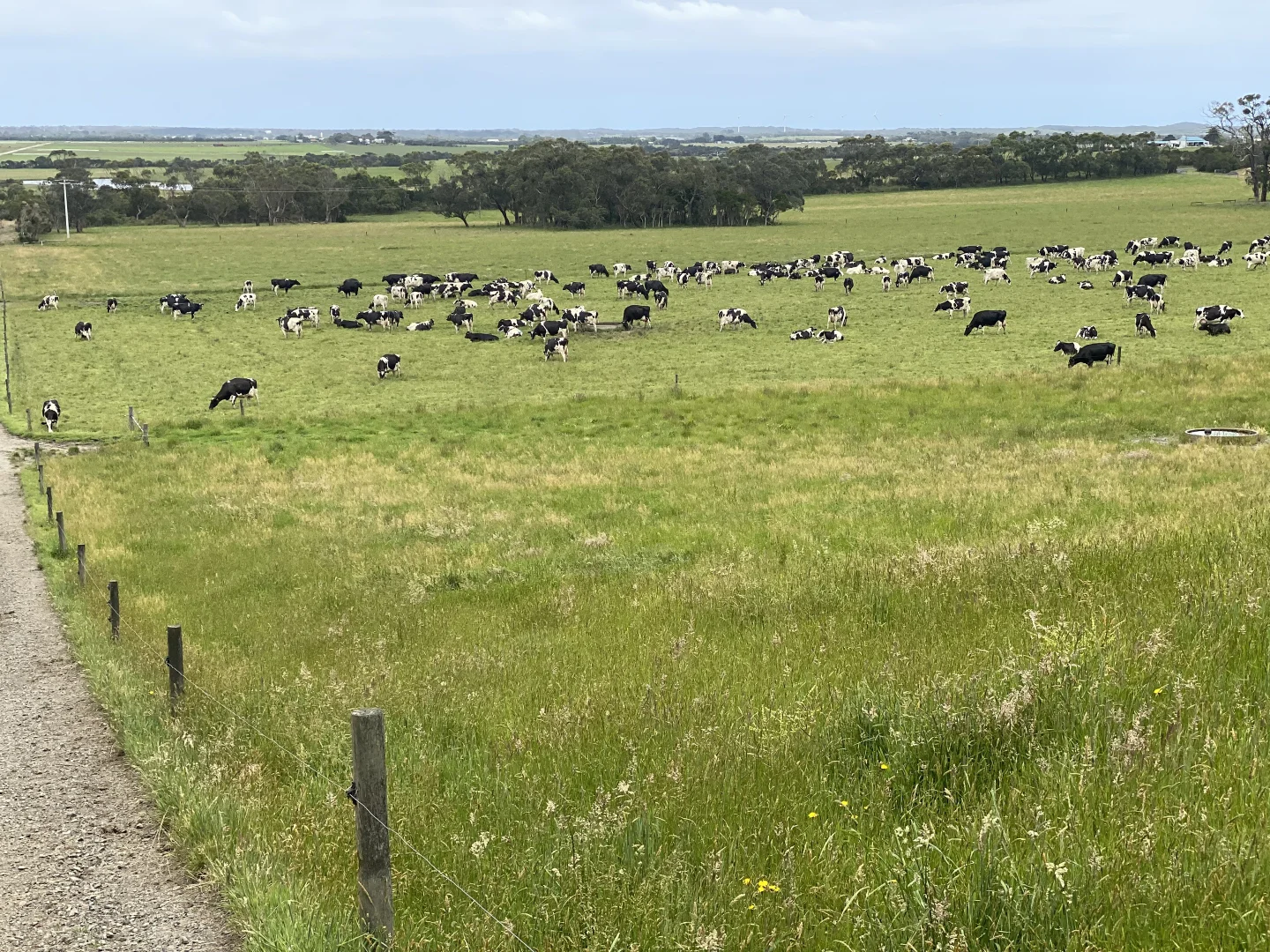 Additional image 26 of 2805 Loch Wonthaggi, West Creek VIC 3992