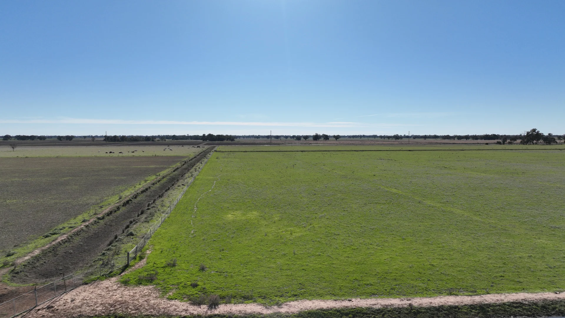 Additional image 45 of Shady Gums Birganbigil Road, Deniliquin NSW 2710