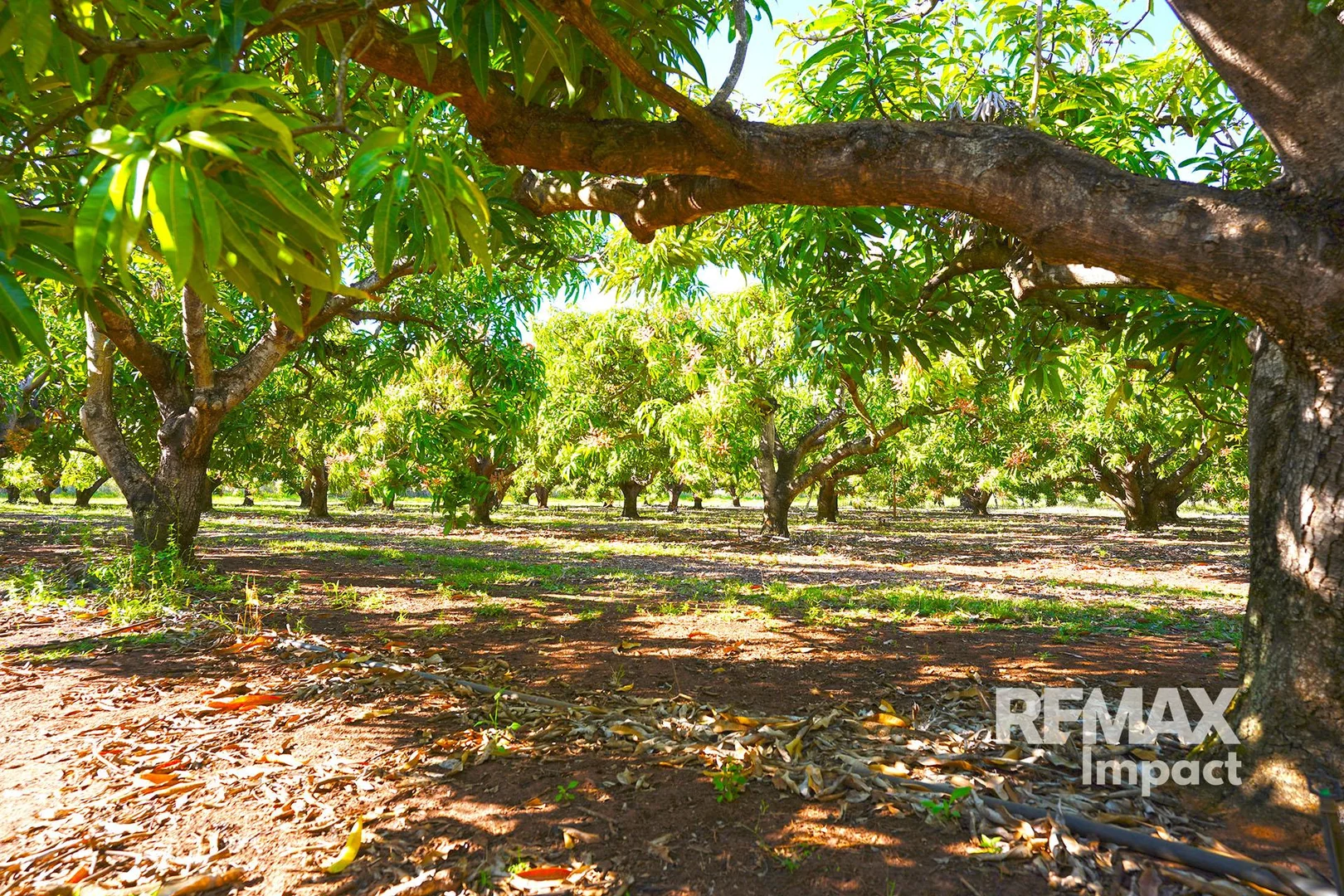 Additional image 7 of 446 Chewko Road, Mareeba QLD 4880