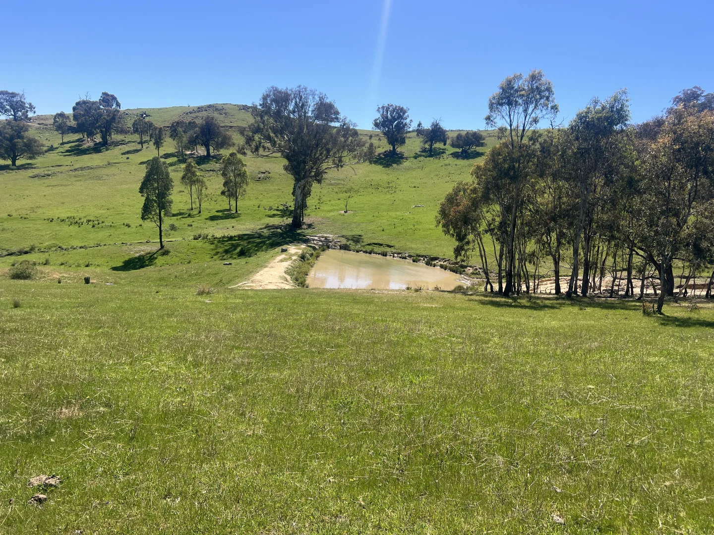 Additional image 3 of 557 Georges Creek Road, Talgarno VIC 3691