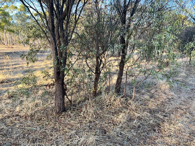 Additional image 25 of 964 Dobaderry Road, Beverley WA 6304