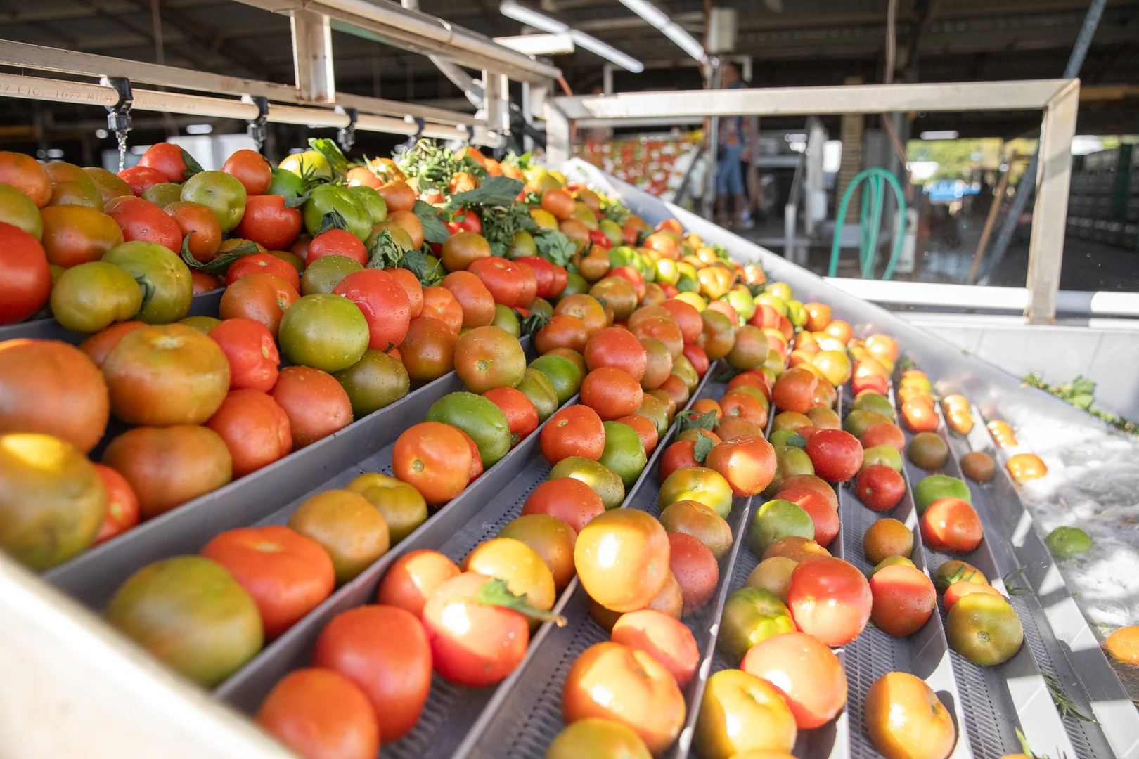 Additional image 11 of 37 Inveroona Road, Bowen QLD 4805